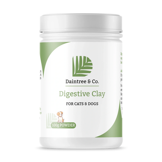 BentonitePowder Powder 100g