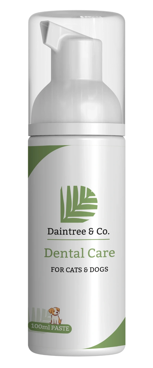 DentalCare Paste 100ml